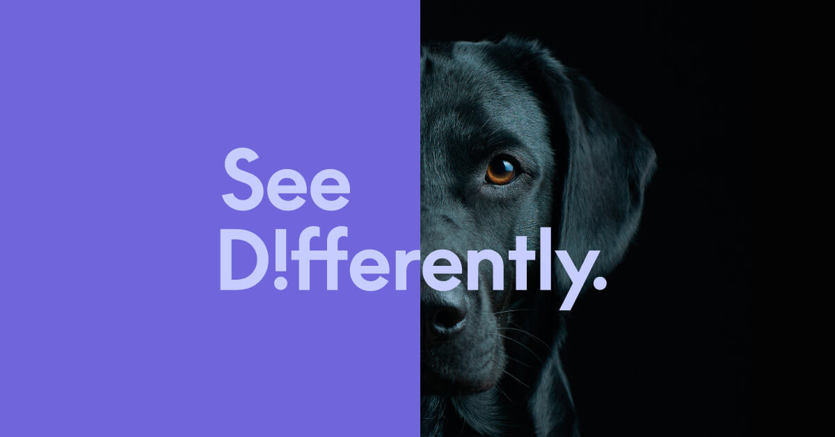 See Differently