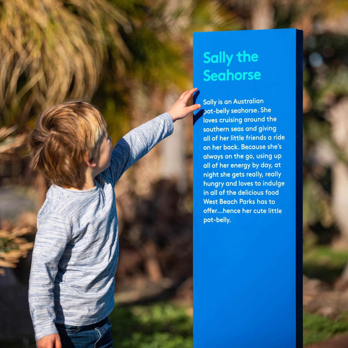 Signage at West Beach Parks about Sally the Seahorse