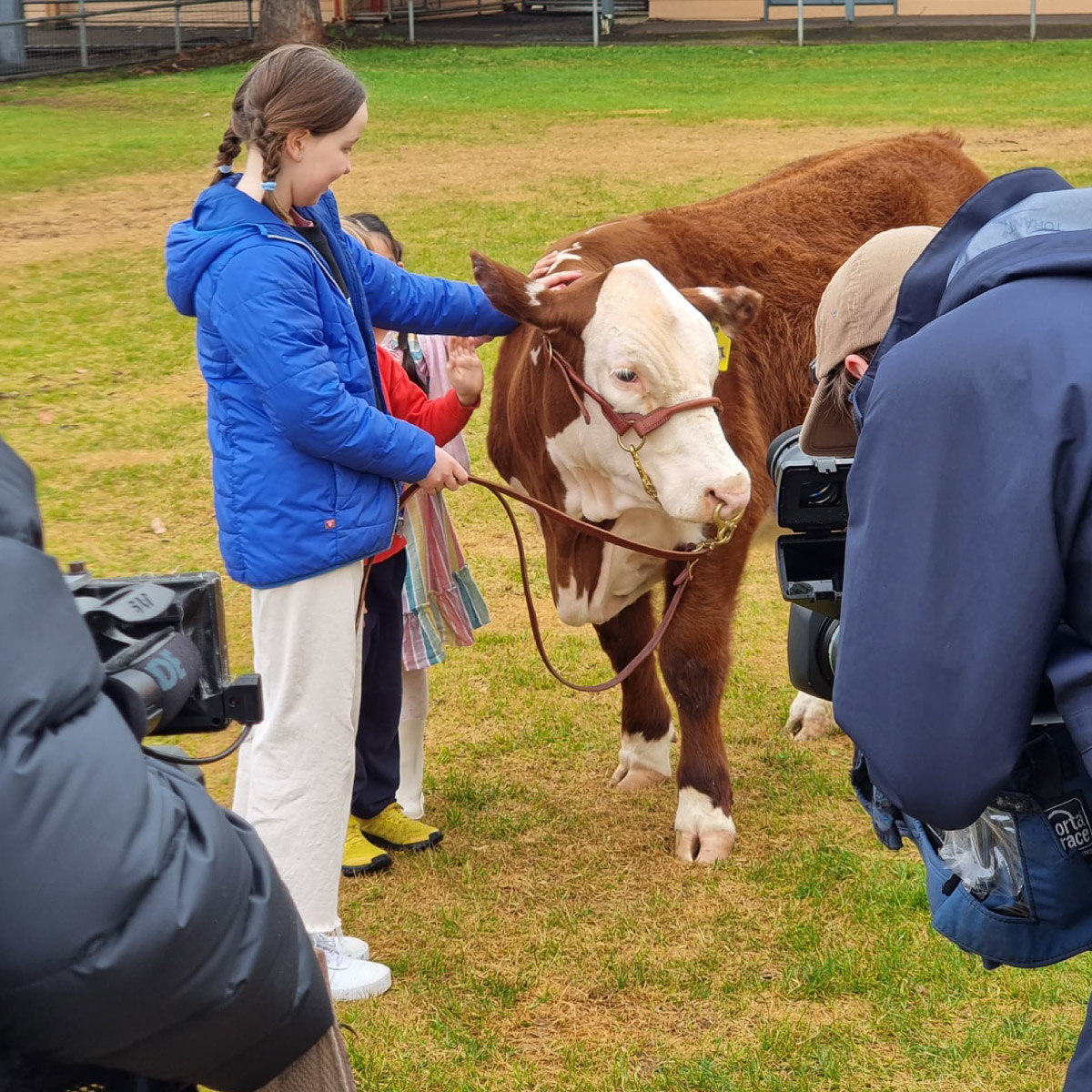 Children playing with animals at the Royal Adelaide Show while film crews capture footage