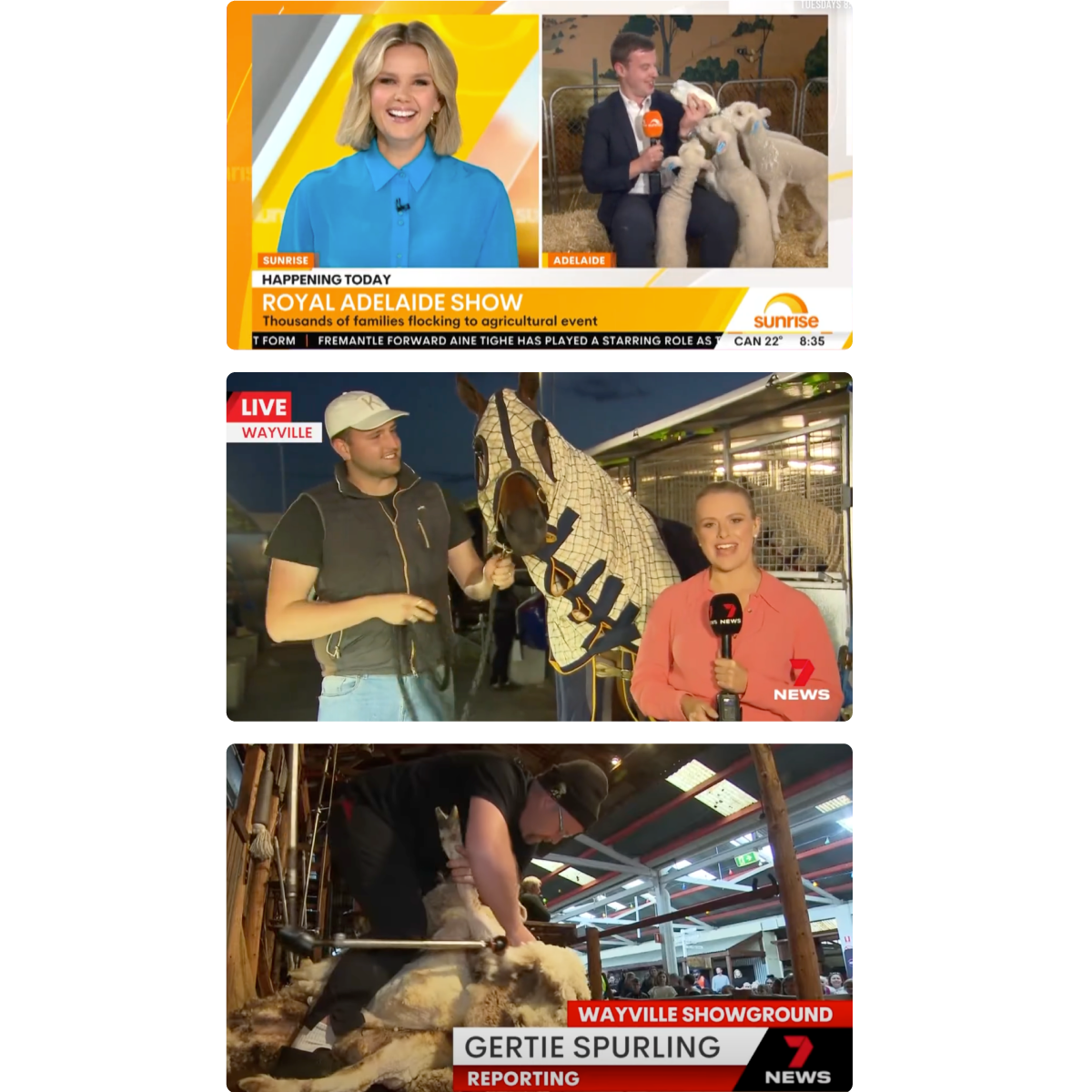 Screenshots from various news channels featuring stories about the Royal Adelaide Show